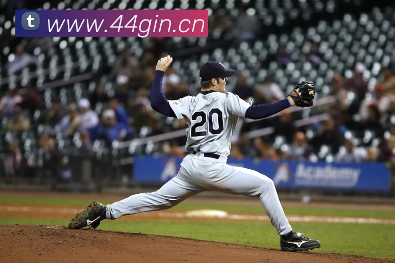 九游j9备用官网平台生态图