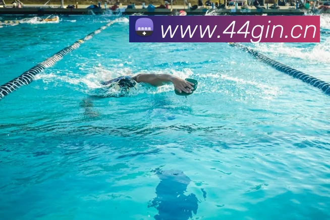 九游j9备用官网APP 封面图